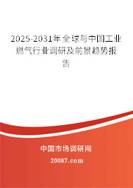 2025-2031年全球与中国工业燃气行业调研及前景趋势报告