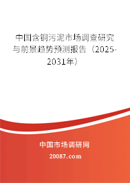 中国含铜污泥市场调查研究与前景趋势预测报告（2025-2031年）