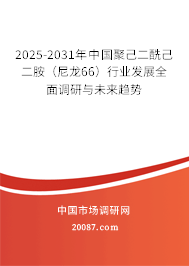 2025-2031年中国聚己二酰己二胺（尼龙66）行业发展全面调研与未来趋势