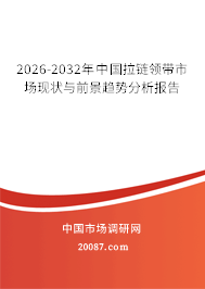 2026-2032年中国拉链领带市场现状与前景趋势分析报告
