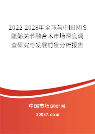 2022-2028年全球与中国MIS骶髂关节融合术市场深度调查研究与发展前景分析报告