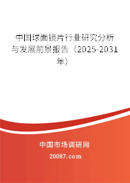 中国球面镜片行业研究分析与发展前景报告（2025-2031年）