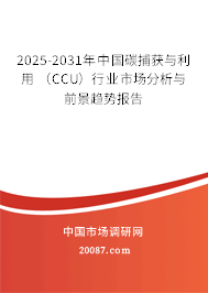 2025-2031年中国碳捕获与利用 （CCU）行业市场分析与前景趋势报告