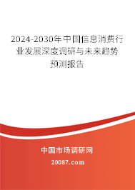 2024-2030年中国信息消费行业发展深度调研与未来趋势预测报告 2024-2030年中国信息消费行业发展深度调研与未来趋势预测报告