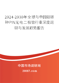 2024-2030年全球与中国铟镓砷PIN光电二极管行业深度调研与发展趋势报告
