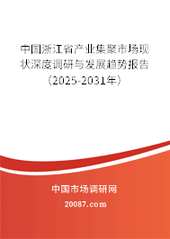 中国浙江省产业集聚市场现状深度调研与发展趋势报告（2025-2031年）
