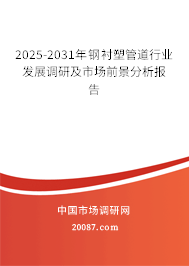2025-2031年钢衬塑管道行业发展调研及市场前景分析报告 2025-2031年钢衬塑管道行业发展调研及市场前景分析报告