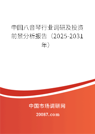 中国八音琴行业调研及投资前景分析报告(2025-2031年) 中国八音琴行业调研及投资前景分析报告(2025-2031年)