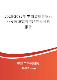 2026-2032年中国玻璃导管行业发展研究与市场前景分析报告 2026-2032年中国玻璃导管行业发展研究与市场前景分析报告