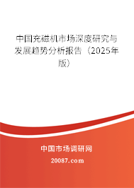 中国充磁机市场深度研究与发展趋势分析报告(2025年版) 中国充磁机市场深度研究与发展趋势分析报告(2025年版)