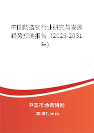 中国防盗锁行业研究与发展趋势预测报告（2025-2031年）