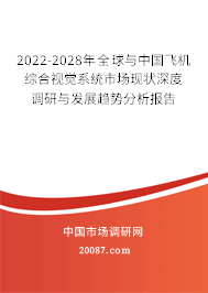 2022-2028年全球与中国飞机综合视觉系统市场现状深度调研与发展趋势分析报告