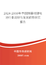 2024-2030年中国割草机锂电池行业调研与发展趋势研究报告
