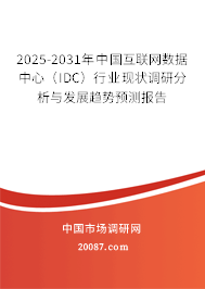 2025-2031年中国互联网数据中心（IDC）行业现状调研分析与发展趋势预测报告