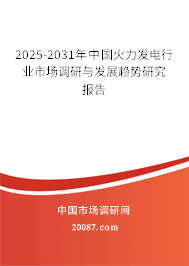 2025-2031年中国火力发电行业市场调研与发展趋势研究报告