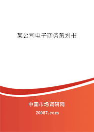 某公司电子商务策划书