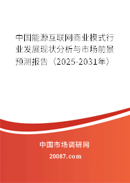 中国能源互联网商业模式行业发展现状分析与市场前景预测报告（2025-2031年）