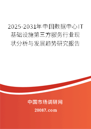 2025-2031年中国数据中心IT基础设施第三方服务行业现状分析与发展趋势研究报告