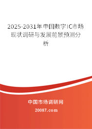 2025-2031年中国数字IC市场现状调研与发展前景预测分析