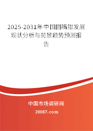 2025-2031年中国圆嘴钳发展现状分析与前景趋势预测报告