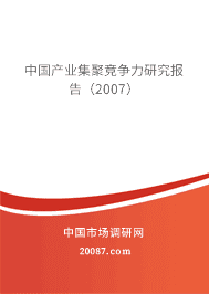 �й���ҵ���۾������о����棨2007��