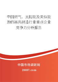 中国燃气、太阳能及类似能源的器具制造行业重点企业竞争力分析报告