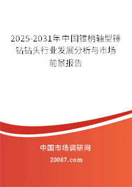 2025-2031年中国锥柄轴型锤钻钻头行业发展分析与市场前景报告 2025-2031年中国锥柄轴型锤钻钻头行业发展分析与市场前景报告