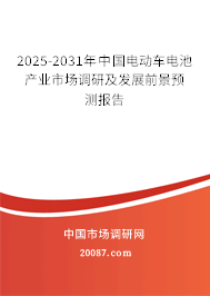 2025-2031年中国电动车电池产业市场调研及发展前景预测报告