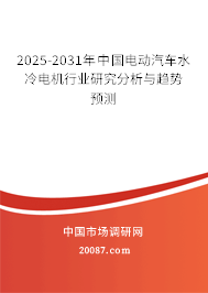 2025-2031年中国电动汽车水冷电机行业研究分析与趋势预测