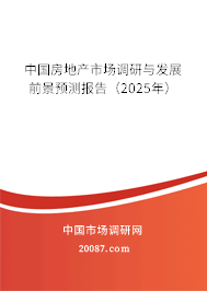 中国房地产市场调研与发展前景预测报告（2025年）