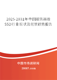 2025-2031年中国服务器级SSD行业现状及前景趋势报告