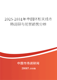 2024-2030年中国环形天线市场调研与前景趋势分析 2024-2030年中国环形天线市场调研与前景趋势分析