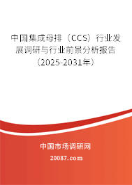 中国集成母排（CCS）行业发展调研与行业前景分析报告（2025-2031年）