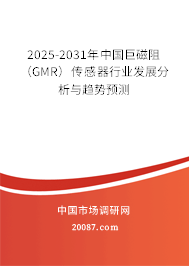 2022-2028年中国巨磁阻(GMR)传感器行业发展分析与趋势预测 2022-2028年中国巨磁阻(GMR)传感器行业发展分析与趋势预测