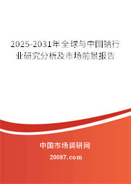 2025-2031年全球与中国钠行业研究分析及市场前景报告