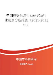 中国数据标注行业研究及行业前景分析报告(2025-2031年) 中国数据标注行业研究及行业前景分析报告(2025-2031年)