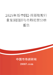 2025年版中国2-羟基吡啶行业发展回顾与市场前景分析报告 2025年版中国2-羟基吡啶行业发展回顾与市场前景分析报告
