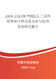 2009-2013年中国2,6-二异丙基苯胺市场深度调查与投资发展研究报告 2009-2013年中国2,6-二异丙基苯胺市场深度调查与投资发展研究报告