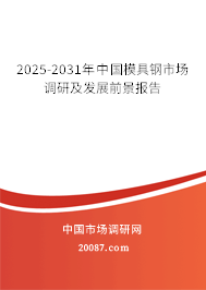 2025-2031年中国模具钢市场调研及发展前景报告