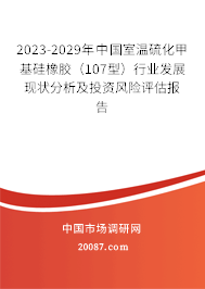 2023-2029年中国室温硫化甲基硅橡胶（107型）行业发展现状分析及投资风险评估报告