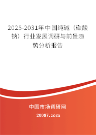 2025-2031年中国纯碱(碳酸钠)行业发展调研与前景趋势分析报告 2025-2031年中国纯碱(碳酸钠)行业发展调研与前景趋势分析报告