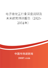 电子级化工行业深度调研及未来趋势预测报告（2025-2031年）