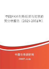 中国FKM市场现状与前景趋势分析报告（2025-2031年）