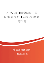 2025-2031年全球与中国M2M网关行业分析及前景趋势报告 2025-2031年全球与中国M2M网关行业分析及前景趋势报告