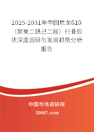 2025-2031年中国尼龙610（聚癸二酰己二胺）行业现状深度调研与发展趋势分析报告
