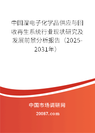中国湿电子化学品供应与回收再生系统行业现状研究及发展前景分析报告（2025-2031年）