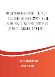 中国羧甲基纤维素（CMC）（含聚阴离子纤维素）行业发展现状分析与市场前景预测报告（2025-2031年）