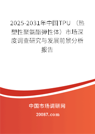 2025-2031年中国TPU （热塑性聚氨酯弹性体）市场深度调查研究与发展前景分析报告