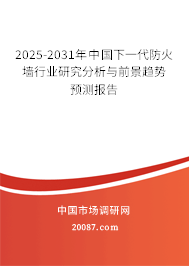 2025-2031年中国下一代防火墙行业研究分析与前景趋势预测报告