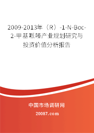 2009-2013年（R）-1-N-Boc-2-甲基哌嗪产业规划研究与投资价值分析报告